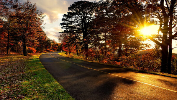 Wallpaper Autumn, The, Trees, Blue, Road, Ridge, Nature, With, Parkway, Sunbeam