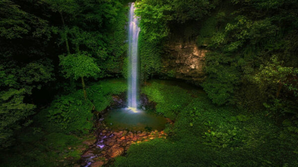 Wallpaper Trees, Green, Waterfall, Nature, Pouring, Surrounded, Lake