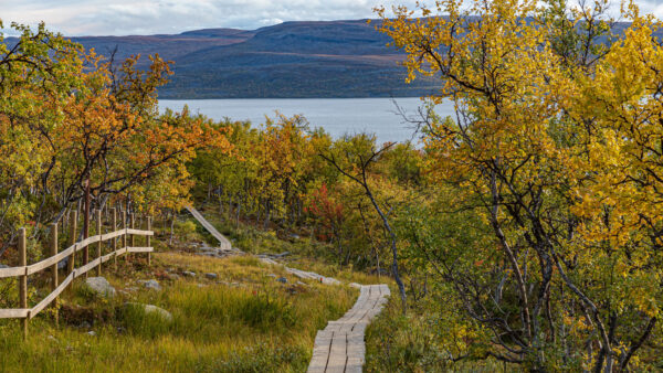 Wallpaper Fence, Trees, Wood, Mountain, Field, River, Path, Mobile, Background, Grass, Green, Colorful, Desktop, Autumn, Nature