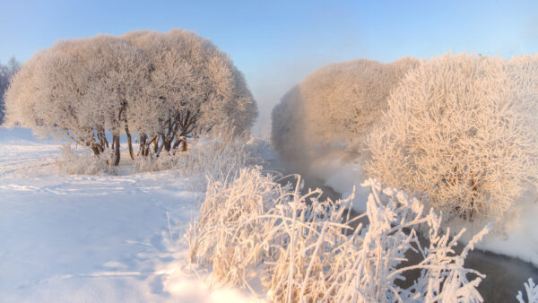 Wallpaper Field, Nature, Winter, Desktop, Bewteen, With, During, Trees, River, Snow