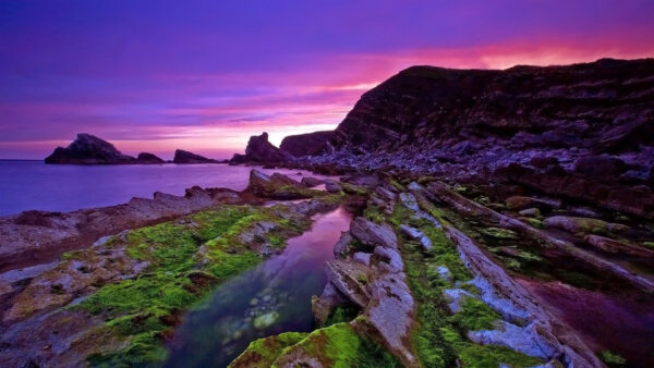 Wallpaper Scenery, Sky, Under, Water, Covered, Nature, Rocks, Mountains, Body, Algae, Clouds, Purple, Pink