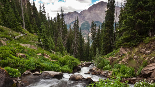 Wallpaper Bushes, Nature, River, Between, Mountains, Green, Plants, Trees, Background, Stream