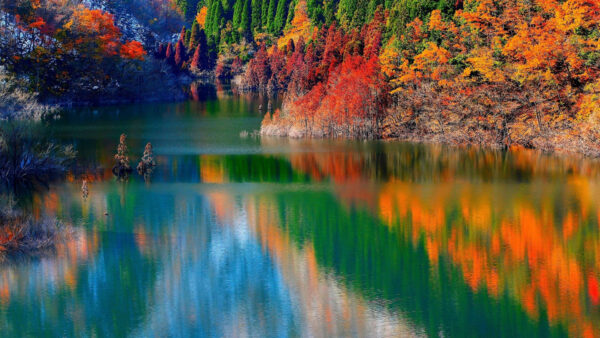 Wallpaper Colorful, View, Trees, Fall, Landscape, Autumn, River, Reflection