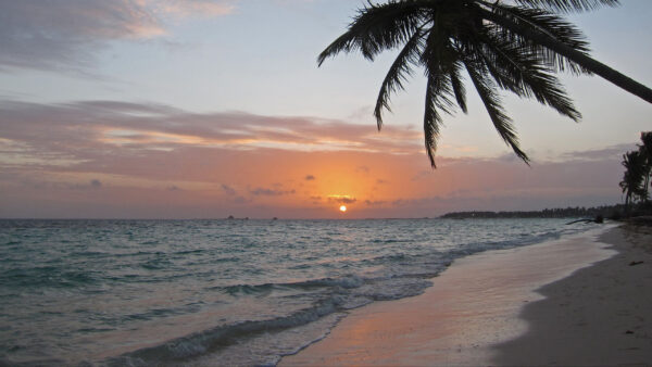 Wallpaper Slanting, Waves, Sunset, Sky, Beach, Blue, Under, During, Ocean, Palm, Tree, Sand, Nature