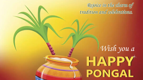 Wallpaper Pongal, Rejoice, Charm, Tradition, And, The, Celebrations