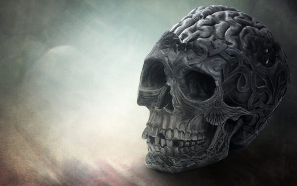 Wallpaper Brain, Skull