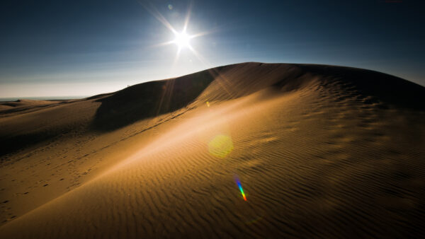 Wallpaper Desert