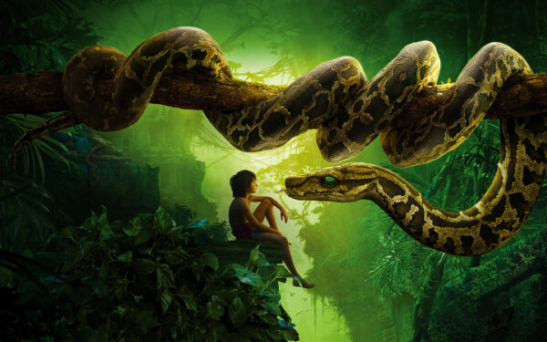 Wallpaper Jungle, Mowgli, Snake, Book