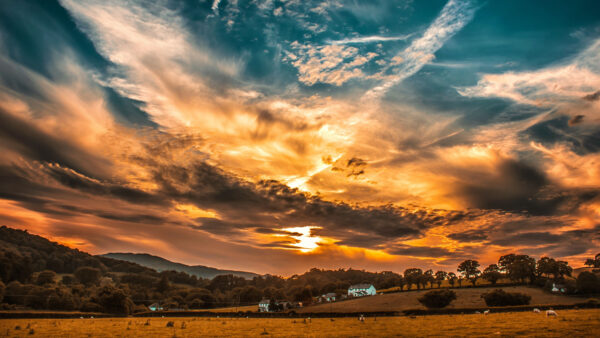 Wallpaper Horizon, Trees, Sunset, 4k, Clouds, Sky, Field