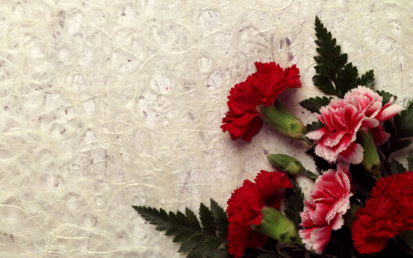 Wallpaper Carnation, Decor