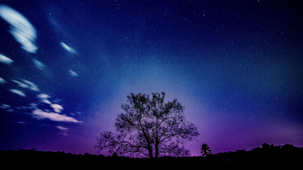 Wallpaper Purple, Landscape, Sunset