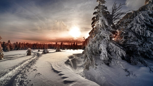 Wallpaper White, Snow, With, Sunrise, Desktop, During, Landscape, Covered, Winter