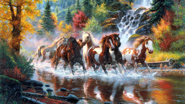 Wallpaper And, Horses, Running, Horse, Desktop, Stream, Waterfall, Near