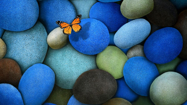 Wallpaper Black, Yellow, Beautiful, Butterfly, Desktop, Stones, Blue