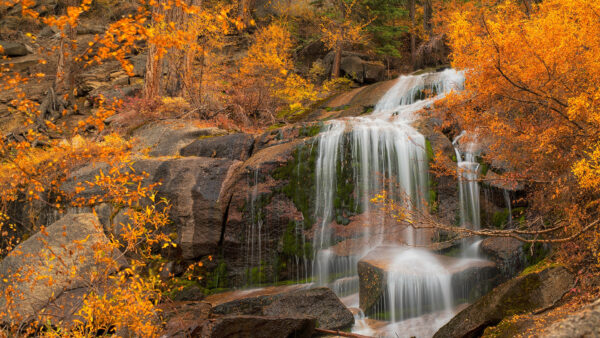 Wallpaper Nature, Desktop, California, Rock, Yellow, Leaves, Trees, With, Waterfalls, Cascade, And