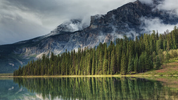 Wallpaper Nature, Lake, Desktop, Canada, And, With, Clouds, Mountain, Fir, Touching, Trees, Mobile