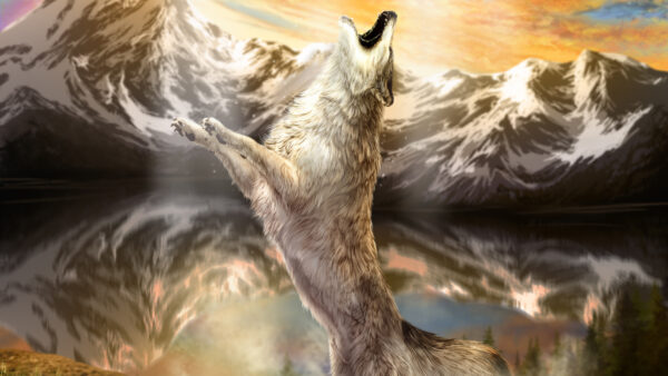 Wallpaper Lake, Mountain, Howling, With, Desktop, Animal, Animals, Wolf, Mobile, Background