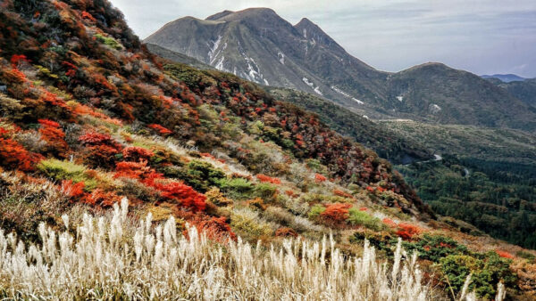 Wallpaper Japanese, Mountains, Colorful, With, Desktop, Slope, Plants