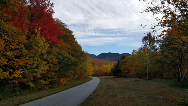 Wallpaper Nature, Trees, Mobile, Turn, Desktop, Forest, Road, Between, Colorful, Autumn