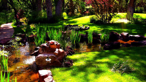 Wallpaper Garden, With, Water, Green, Grass, And, Desktop, Trees