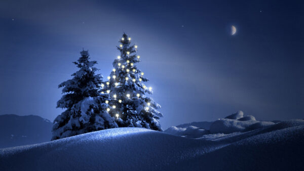 Wallpaper Christmas, With, Nighttime, Field, During, Tree, Lights, Snow