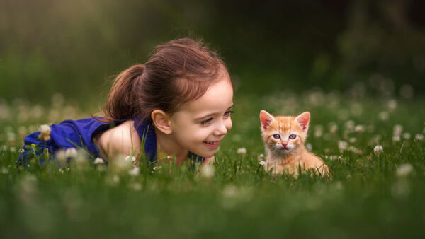 Wallpaper Smiley, Grass, Dress, Green, Girl, Kitten, Blue, Sitting, Wearing, Little, With, Cute
