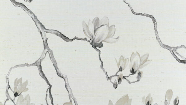 Wallpaper Blossom, Jeffries, Phillip, Flowers, Desktop