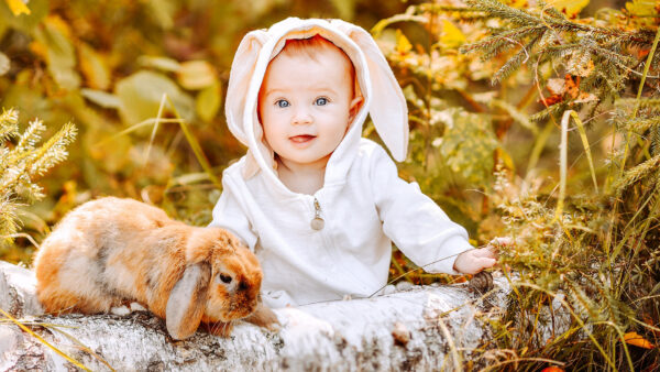 Wallpaper Sitting, Plants, Cute, Background, Child, Baby, Bunny, Dress, Rabbit, With, Near