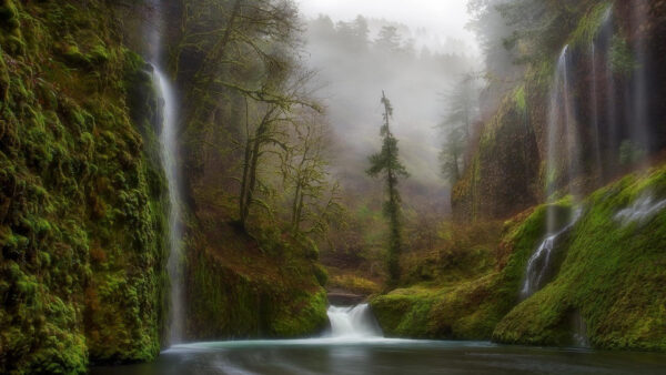 Wallpaper Foggy, Stream, Waterfalls, Greenery, Nature, Mountain, Multiple