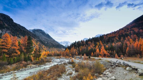 Wallpaper Colorful, Stream, Clouds, Desktop, Bushes, Stones, Mobile, Under, Autumn, Slope, Trees, Water, Blue, Mountain, Sky, Forest, Nature