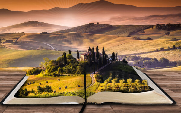 Wallpaper Landscape, Book