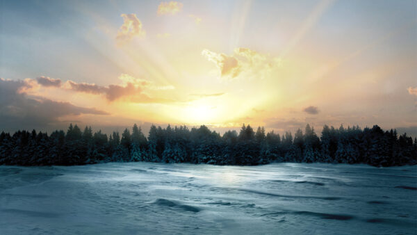 Wallpaper Winter, Sunrise, Forest