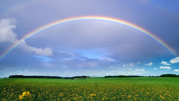 Wallpaper Rainbow, And, Desktop, Nature, Flowers, With, Sky, Under, Green, Blue, Clouds, Grass, Field