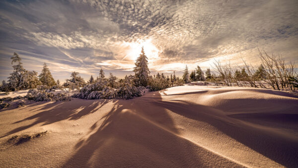 Wallpaper Winter, Clouds, Trees, Snow, Sky, Covered, Sunrise, Hills, With, During, Background