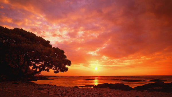 Wallpaper Cloudy, Rocks, Sunset, Desktop, And, Tree, Under, Near, During, Sky, Seashore