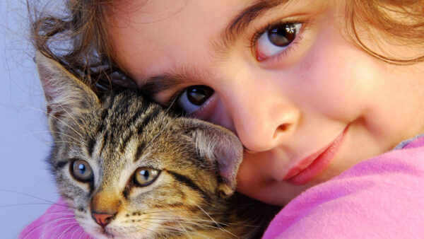 Wallpaper Kitten, Dress, Pink, Wearing, Little, Girl, Desktop, Closeup, Holding, Photo, Cute