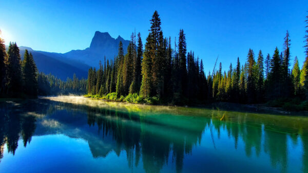 Wallpaper Reflection, Sunlight, Mountains, Beautiful, Scenery, Sky, Trees, Spruce, Blue, Background, Nature