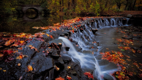Wallpaper Fall, Desktop, Bridge, Trees, Foliage, Waterfall, Nature, During, And, Forest