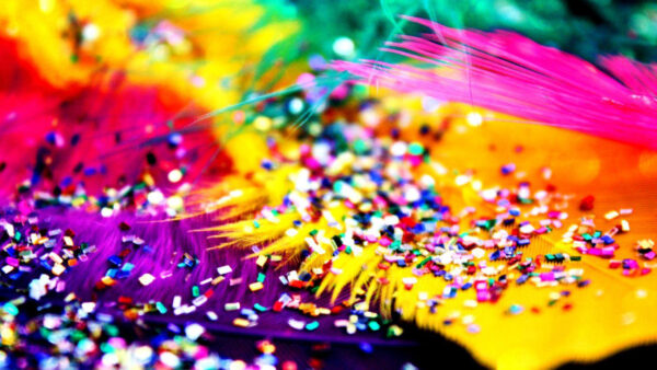 Wallpaper Colorful, Glittering, Abstract, Feathers, Desktop