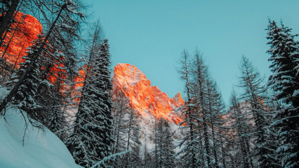 Wallpaper Under, White, Trees, Snow, Covered, Mountains, Desktop, Orange, Sky, Surrounded, Nature, Blue