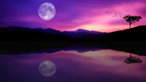 Wallpaper Water, Vaporwave, Starry, Full, Reflection, Dusk, Sky, Purple, Moon