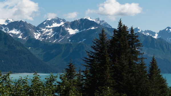 Wallpaper Desktop, Covered, Sky, White, Black, Mountains, View, Mobile, Nature, Background, Landscape, Trees, Clouds, And, Blue