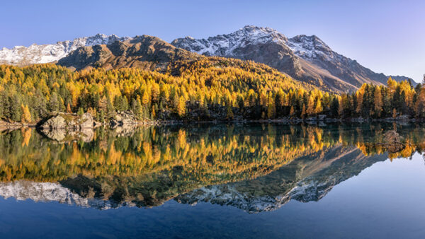 Wallpaper Covered, Orange, Under, Autumn, Green, Yellow, Lake, Slope, Snow, Trees, Nature, Mountains, Reflection, Sky, Blue