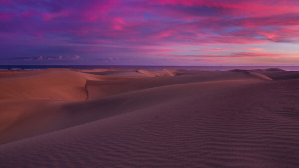 Wallpaper Dune, Horizon, Sand, Nature, Mobile, Ocean, Desert, Desktop