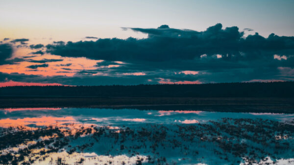 Wallpaper Cloudy, With, Under, Water, Calm, Dark, Trees, Black, Sky, Body, Nature, Reflection