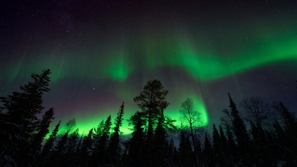 Wallpaper Sky, Aurora, Borealis, Starry, Desktop, Mobile, Finland, Beautiful, Nighttime, During, Nature