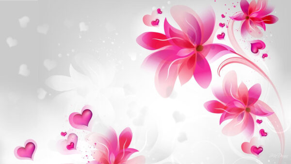 Wallpaper Plant, Floral, Magenta, Blossom, Pink, Petal