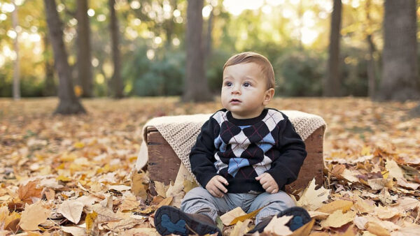Wallpaper Black, Leaves, Background, Cute, Dress, Little, Blur, Bokeh, Dry, Sitting, Wearing, Boy