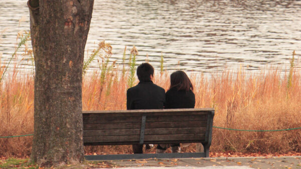 Wallpaper Wood, Couple, Bench, Sitting