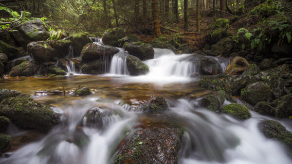 Wallpaper Background, Stones, Waterfalls, Forest, Beautiful, Stream, Nature, Covered, Algae, Green, River